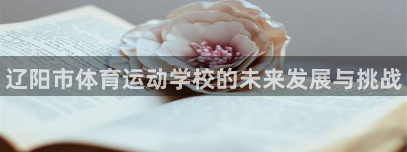 BetWay登录：辽阳市体育运动学校的未来发展与挑战