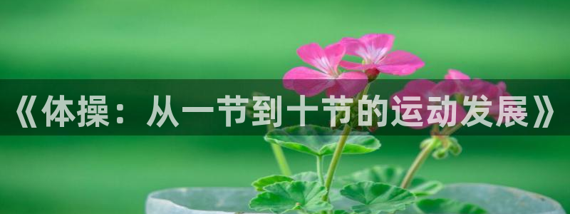 betway官网betway官网手机：《体操：从一节到十节的运动发展》