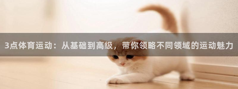 BetWay中文网页：3点体育运动：从基础到高级，带你领略不同领域的运动魅力