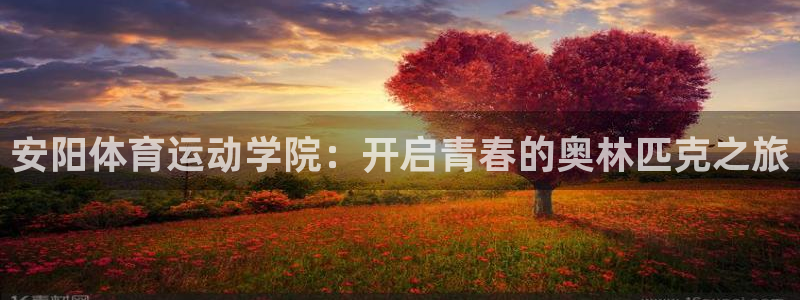 betway体育 西汉姆联：安阳体育运动学院：开启青春的奥林匹克之旅