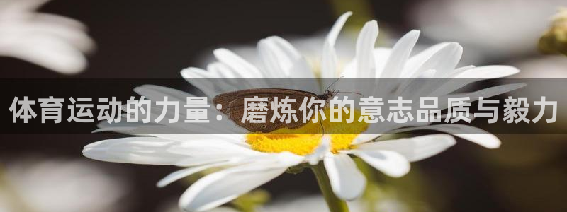 Betwayappdownload：体育运动的力量：磨炼你的意志品质与毅力